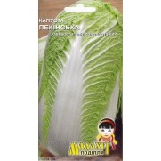 Peking cabbage Seeds 1g Ukrainian seeds