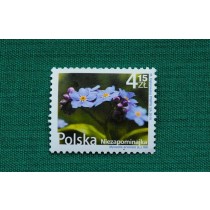 Poland Stamp 2010 Forget-me-not flower