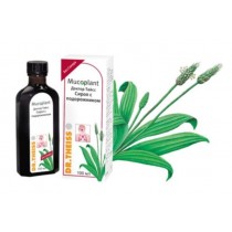 Cough syrup Dr Theiss 250ml Plantain extract Сироп от кашля Др. Тайсса
