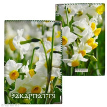 Passport cover Zakarpatye Закарпаття Ukrainian souvenir 9,3 х 13 сm SUV12